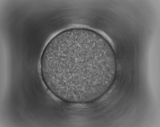 X0000112351287200909101036