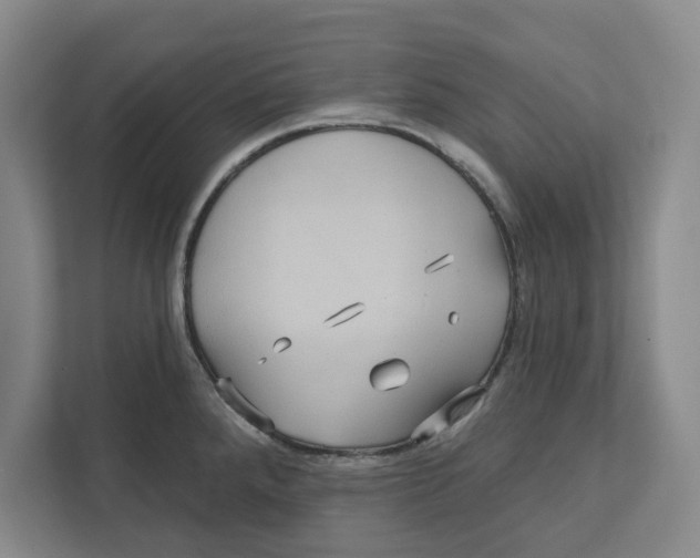 X0000112351288200909101036