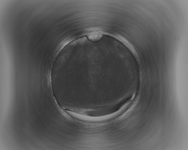 X0000112351289200909101036