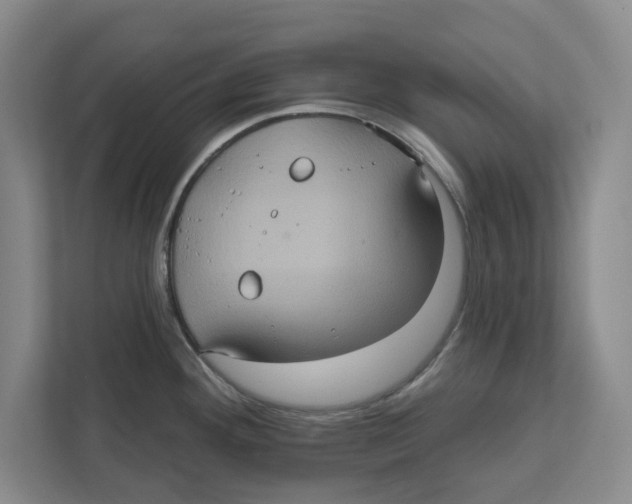 X0000112351292200909101036