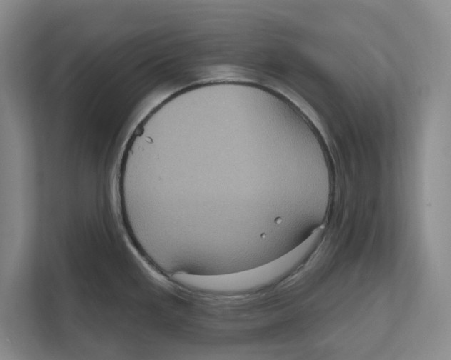 X0000112351293200909101036