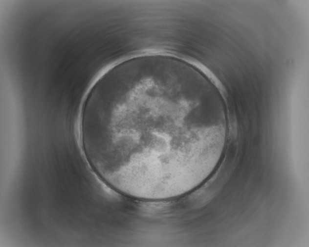 X0000112351294200909101036