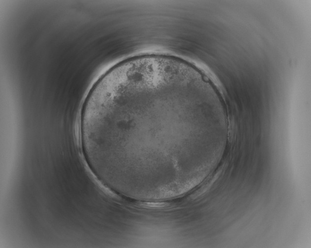 X0000112351295200909101036