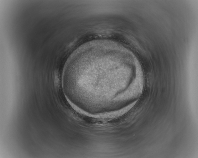 X0000112351298200909101035