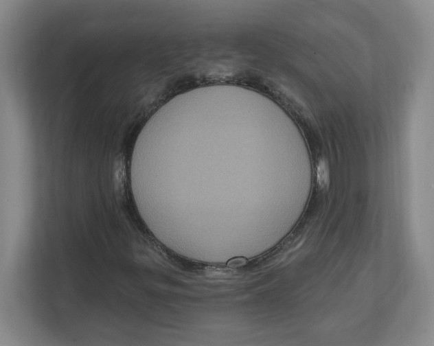 X0000112351299200909101035