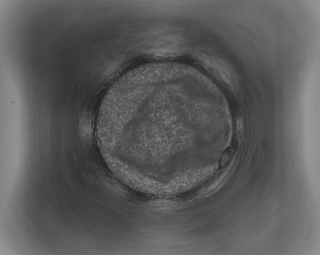 X0000112351300200909101035