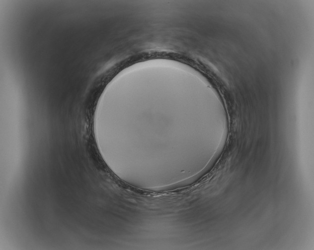 X0000112351303200909101035