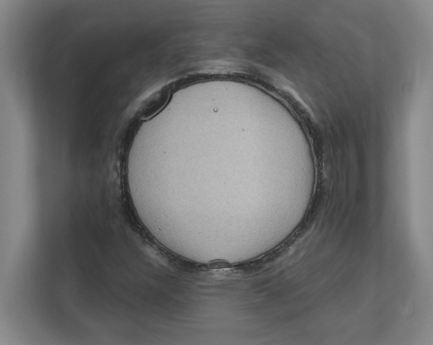 X0000112351304200909101035