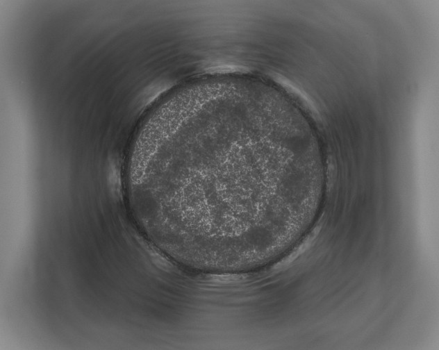 X0000112351305200909101035