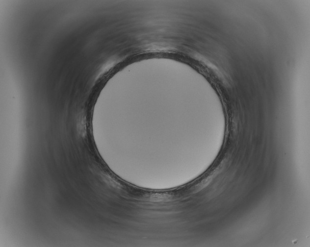 X0000112351306200909101035