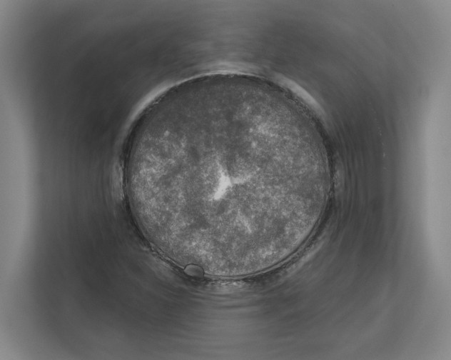 X0000112351310200909101035