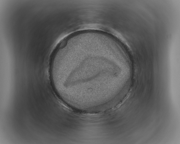 X0000112351312200909101035