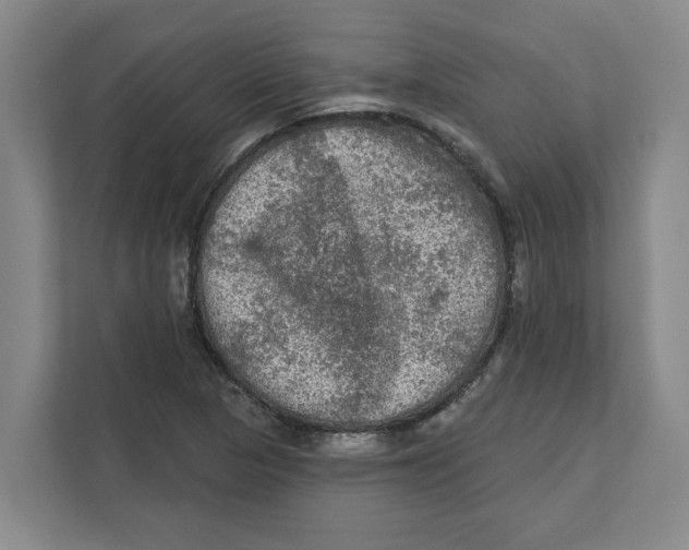 X0000112351313200909101035