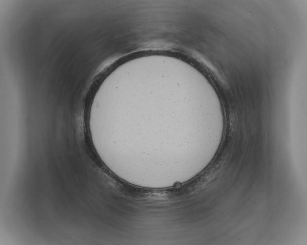 X0000112351315200909101035