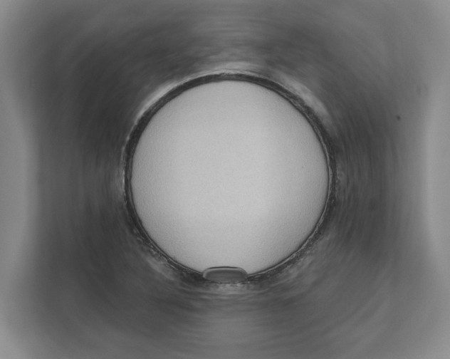 X0000112351316200909101035