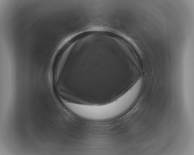 X0000112351319200909101035