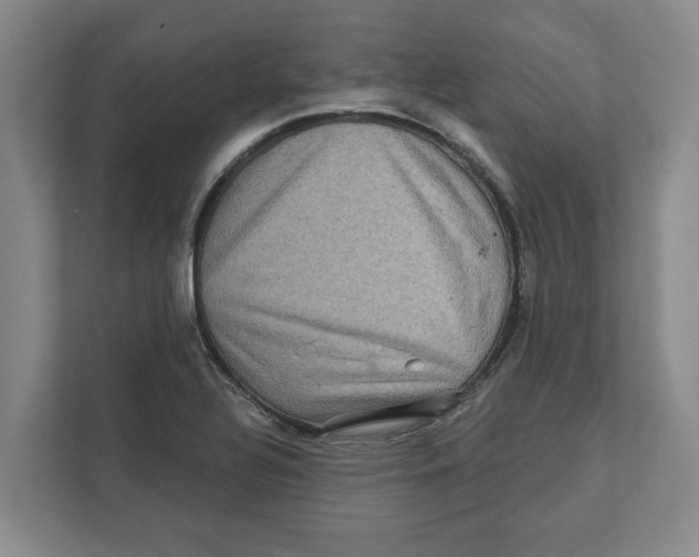 X0000112351320200909101035