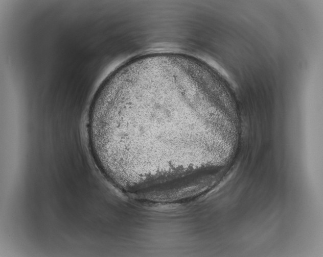 X0000112351325200909101035