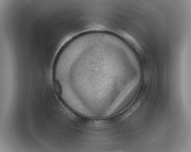 X0000112351326200909101035