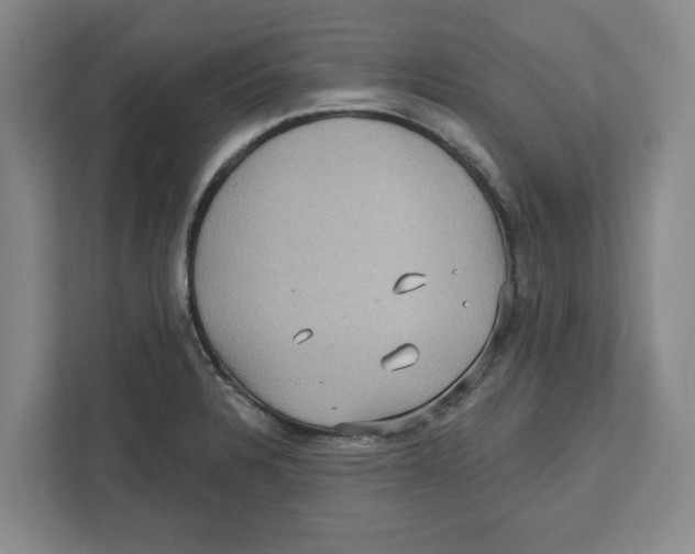 X0000112351328200909101035