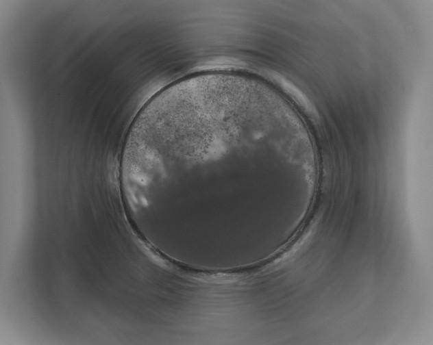 X0000112351329200909101035