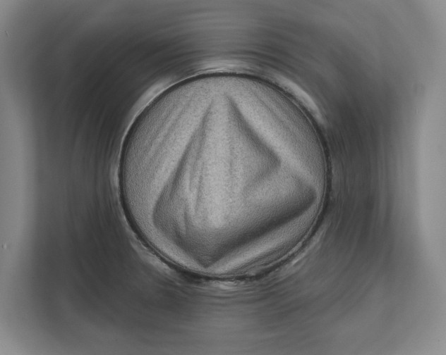 X0000112351330200909101035