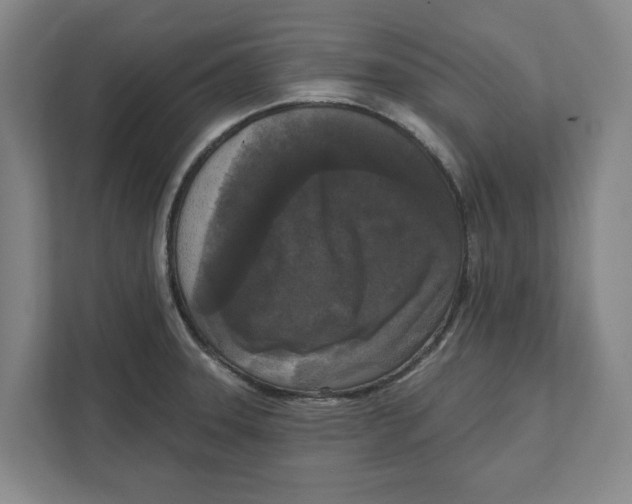 X0000112351331200909101035