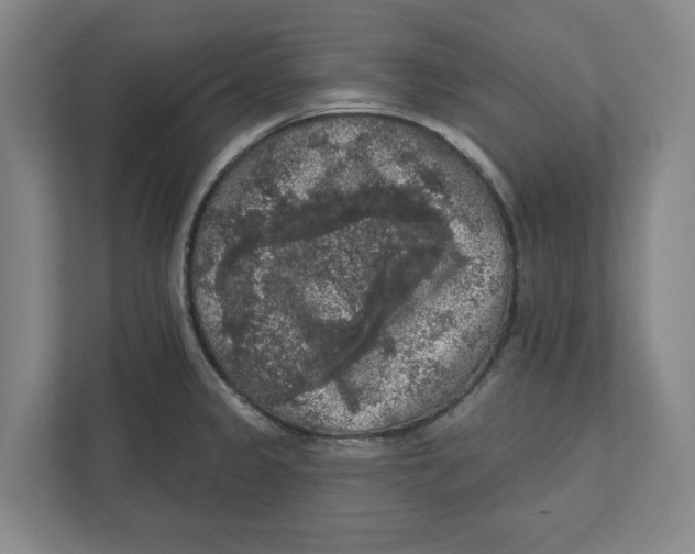 X0000112351333200909101035