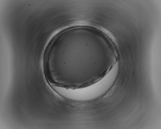 X0000112351334200909101035