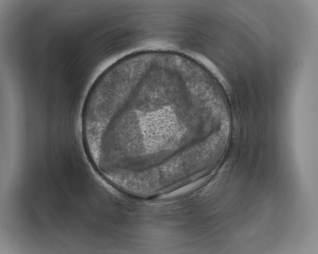 X0000112351335200909101035