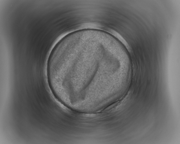 X0000112351339200909101035