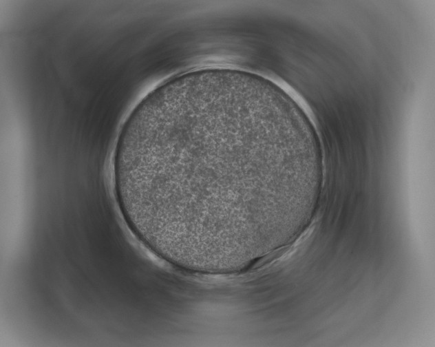 X0000112351341200909101035