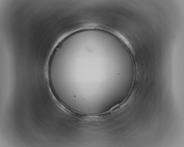 X0000112351342200909101035