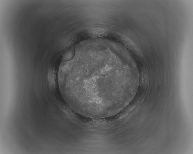 X0000112351346200909101035