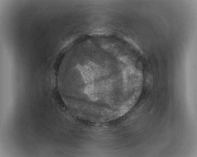 X0000112351350200909101035