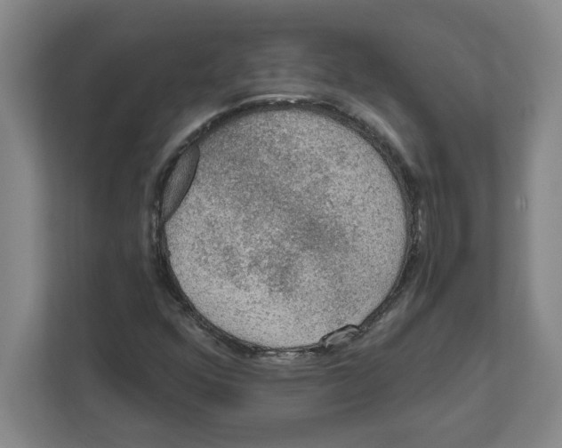 X0000112351352200909101035