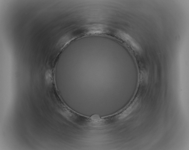 X0000112351353200909101035