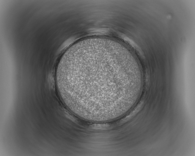 X0000112351354200909101035