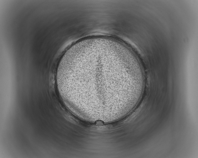 X0000112351355200909101035