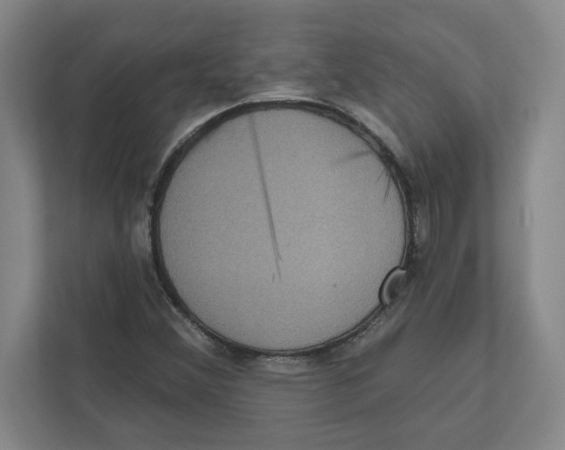 X0000112351356200909101035