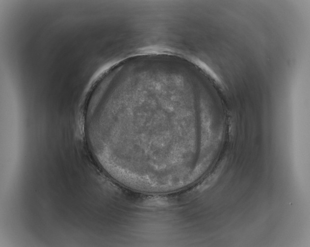 X0000112351358200909101035