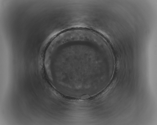 X0000112351359200909101035