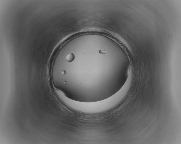 X0000112351364200909101034