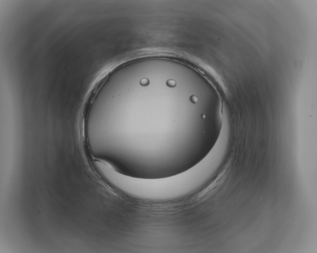 X0000112351365200909101034