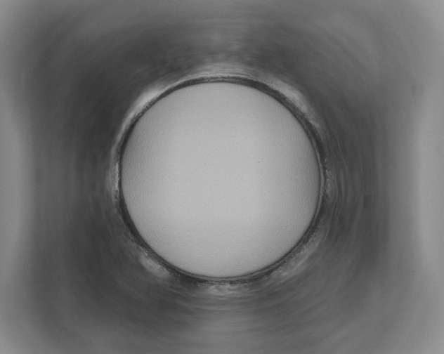 X0000112351366200909101034