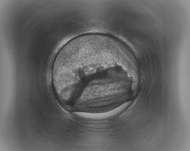 X0000112351367200909101034