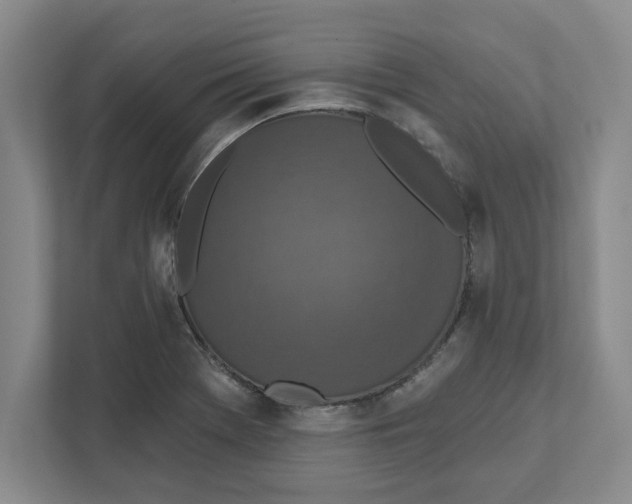 X0000112351369200909101034