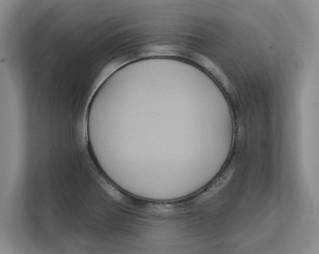 X0000112351370200909101034