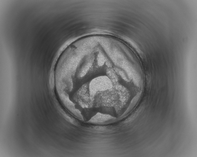 X0000112351371200909101034