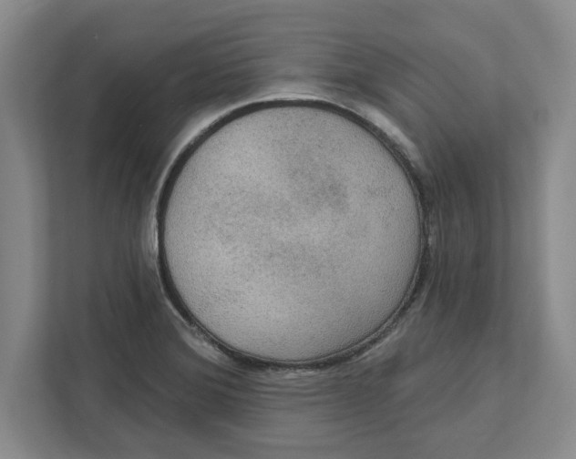 X0000112351372200909101034